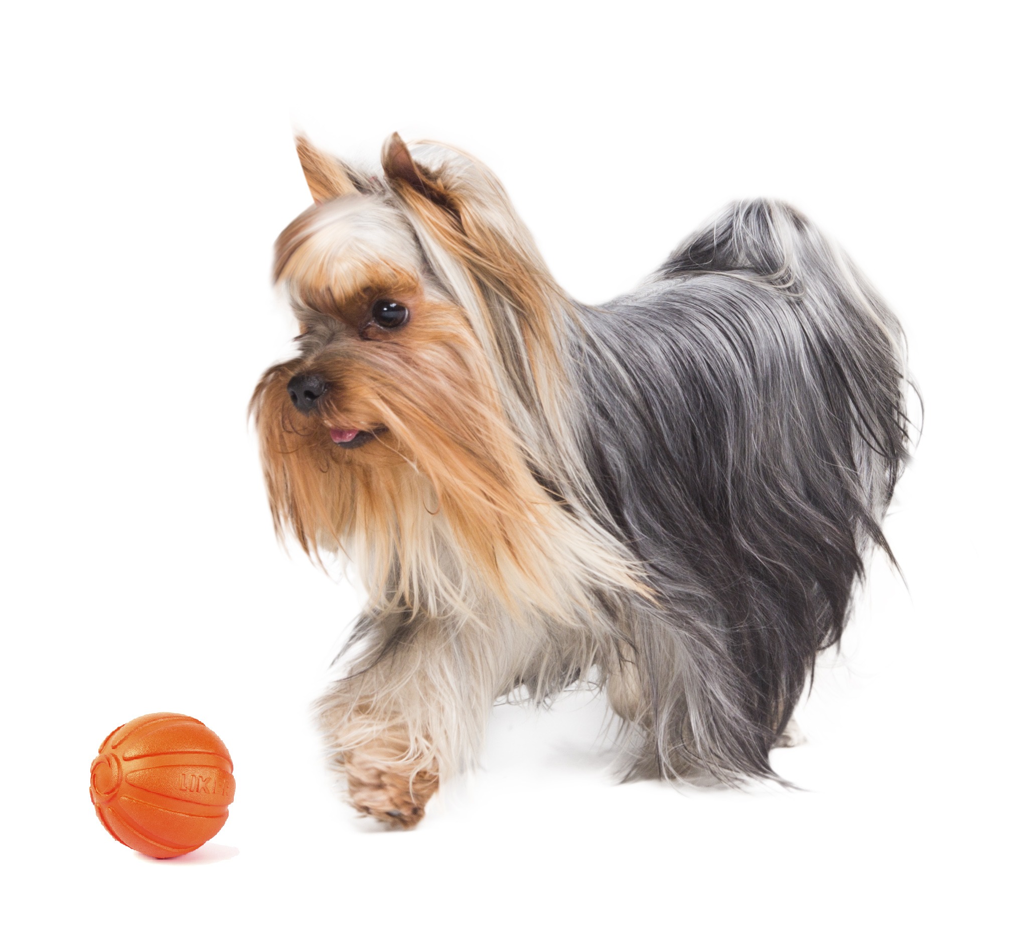 Мячик LIKER 5 для собак мелких пород