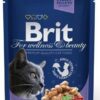 Brit Premium Cat pouch 100 г треска